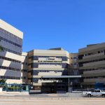 Atendimento remoto do Ipasgo Saúde melhora acesso a consultas especializadas Foto - Ipasgo