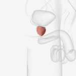 Novembro Azul: Quando iniciar os exames de rastreamento do câncer de próstata? Novembro Azul: Quando iniciar os exames de rastreamento do câncer de próstata?